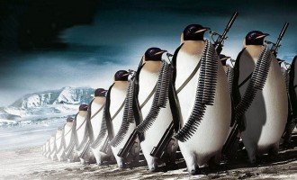¿Qué vamos a hacer esta noche, Penguin?