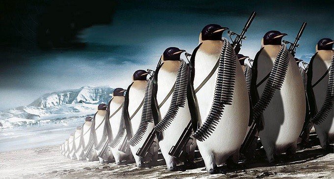 ¿Qué vamos a hacer esta noche, Penguin?