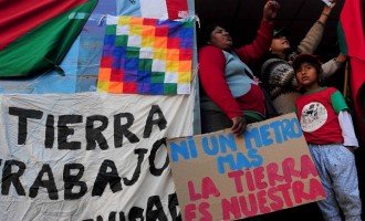 “No tengo expectativas en un gobierno que apuesta al agronegocio”