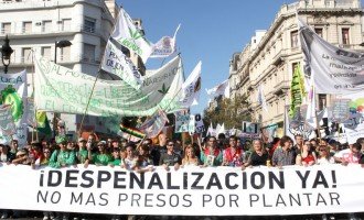 El debate sobre la política de persecución penal al uso de drogas