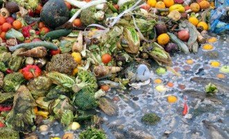 La alimentación que contamina