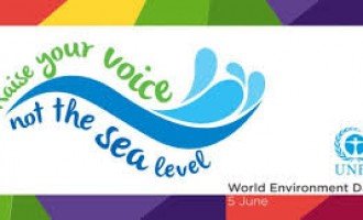 Día mundial del medio ambiente
