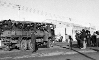 El regreso de los chicos de la guerra