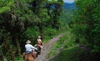 Perforación ilegal en Parque Nacional Calilegua