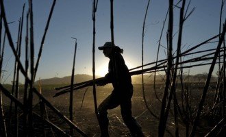 La dulce muerte centroamericana