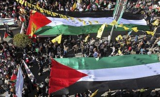 Palestina continúa sus acciones diplomáticas por el reconocimiento internacional