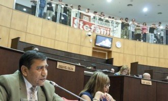 La Legislatura de Neuquén aprobó la expropiación de Stefani