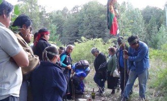 La comunidad Paichil Antriao recuperó territorios en Villa La Angostura