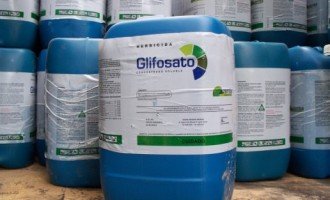La OMS denunció la relación entre el glifosato y el cáncer