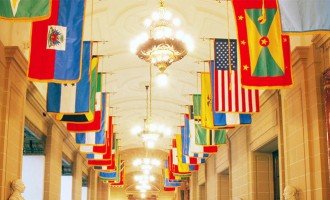 La OEA y su nuevo secretario general: Entre la reforma y la defunción