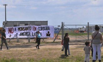 Las elecciones de Malvinas Argentinas atravesadas por la lucha contra Monsanto