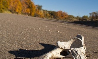 Atuel, la memoria del agua