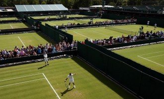 Wimbledon: El pasto es para las vacas