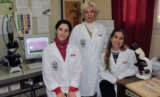 Desarrollan en Tucumán un biomaterial para regenerar los huesos