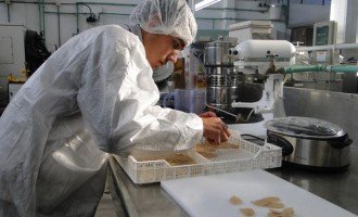 Desarrollan snacks de pacú para aprovechar mejor la carne
