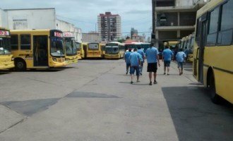 Paran los choferes de la línea 203 ante 36 despidos
