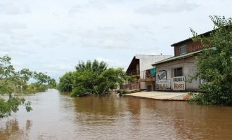 Colón y Concordia: la creciente del Río Uruguay en imágenes