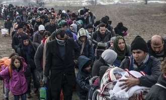 La ONU llamó a frenar la xenofobia contra los refugiados