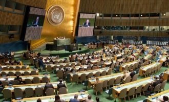 Expertos de la ONU cuestionan acuerdo argentino con los fondos buitre
