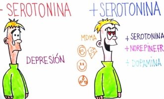 ¿Qué efectos produce el éxtasis en el cuerpo humano?