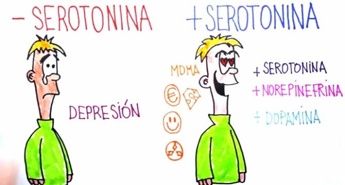 ¿Qué efectos produce el éxtasis en el cuerpo humano?