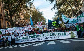 Nueva edición de la Marcha Mundial de la Marihuana
