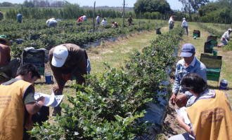 La Plata: despidos en el Renatea