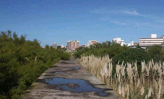 “El derecho ambiental no puede pensarse sin participación ciudadana”