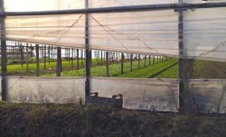 Explotación laboral: la otra cara del mercado hortícola