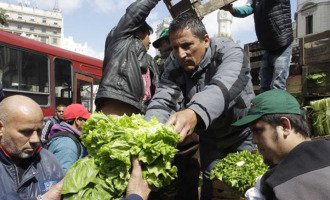 Quinteros del Gran Buenos Aires realizarán un “verdurazo” en la ExpoRural 2018