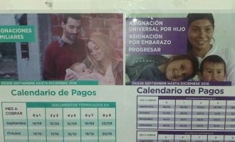 La estigmatizante campaña de la ANSES