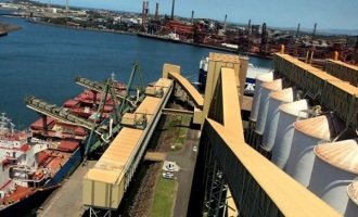 China cierra la importación de aceite de soja desde Argentina