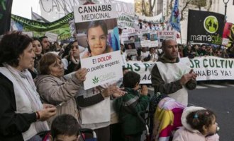 Cannabis medicinal: “La ley nos tiene esposados”