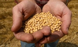 La Ley de Semillas se “discutió” en la Comisión de agricultura