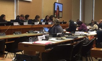 El gobierno rindió cuentas sobre los derechos de las mujeres ante comité de la ONU