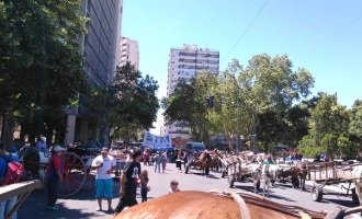 La Plata: carreros realizaron medida de fuerza frente al municipio