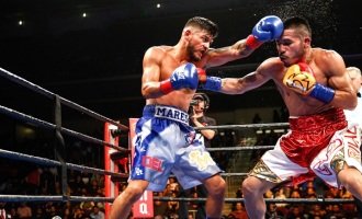 Argentina sin campeones de boxeo