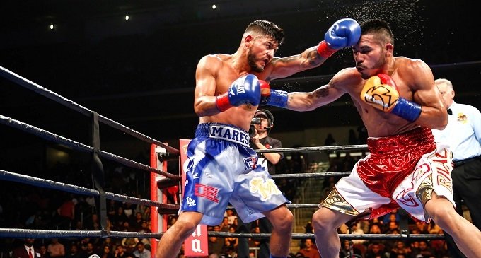 Argentina sin campeones de boxeo