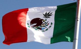 México: avanza la legalización del cannabis para uso medicinal