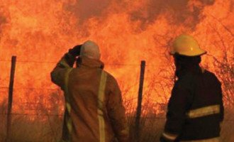 Incendios en La Pampa: “En estas condiciones es muy difícil combatir el fuego”