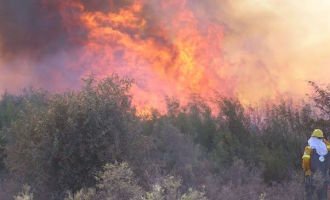 Nuevos focos de incendios en La Pampa y Río Negro