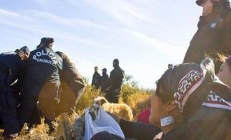 Nuevo ataque policial contra la comunidad mapuche Cushamen