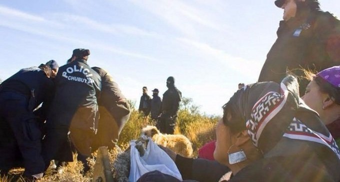 Nuevo ataque policial contra la comunidad mapuche Cushamen