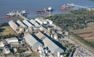 Paro general de aceiteros de la zona de Rosario por un accidente fatal