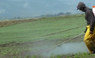 Demandan a una empresa de agroquímicos por la muerte de un trabajador
