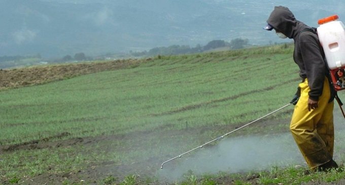 Demandan a una empresa de agroquímicos por la muerte de un trabajador