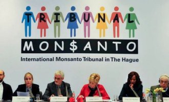 Fallo en La Haya: Monsanto, culpable del delito de ecocidio