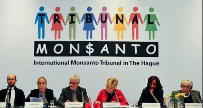 Fallo en La Haya: Monsanto, culpable del delito de ecocidio