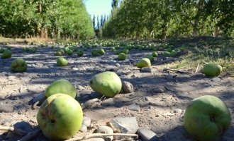 La actividad económica cayó en todas las provincias durante 2016