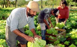 El gobierno eliminó la Secretaría de Agricultura Familiar